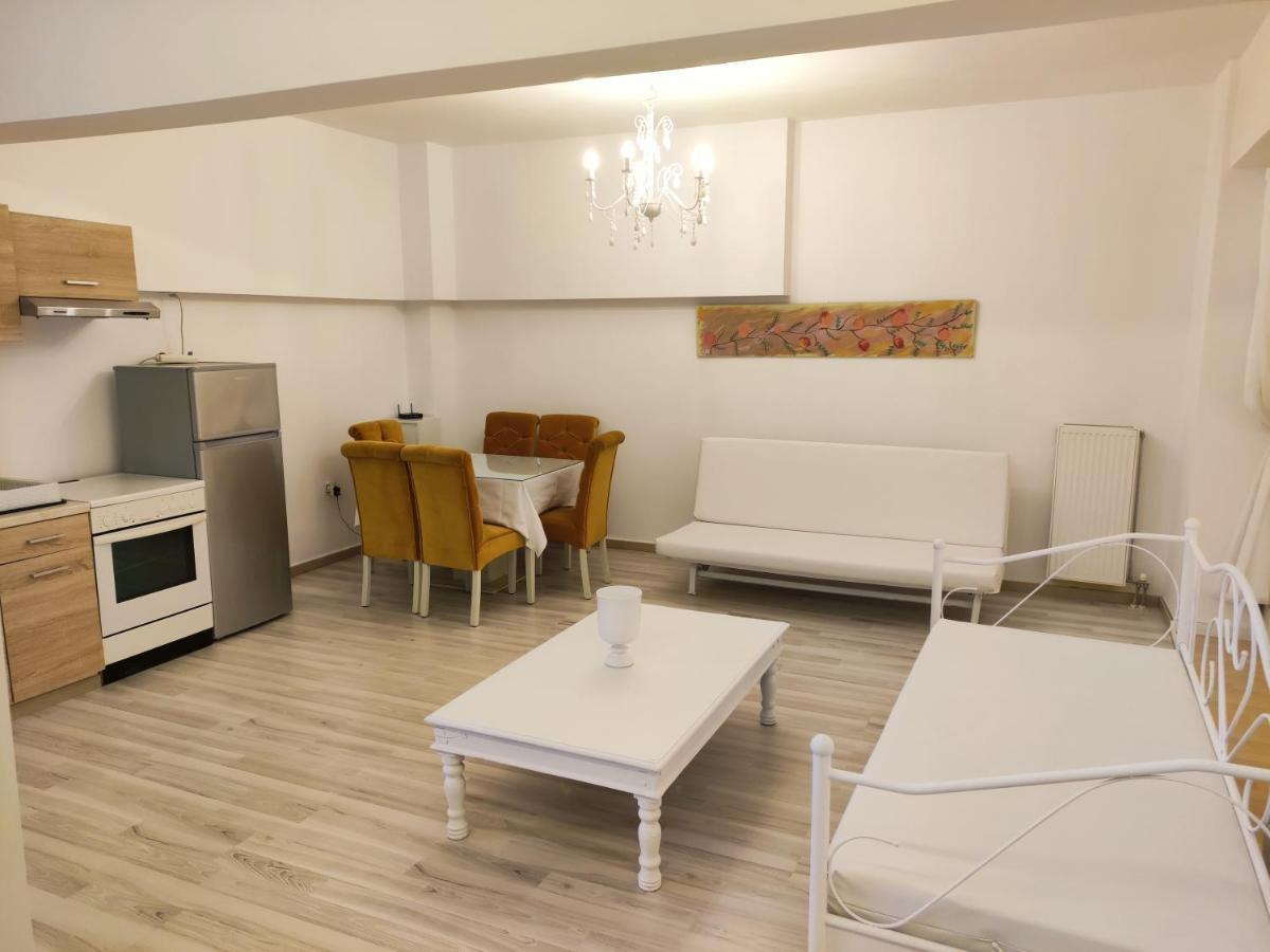 Superior Chic Family Apartment Kalampáka Dış mekan fotoğraf