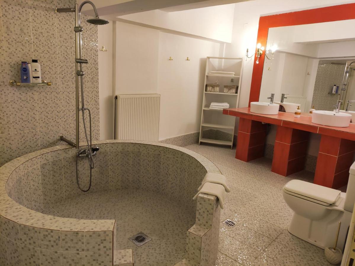 Superior Chic Family Apartment Kalampáka Dış mekan fotoğraf