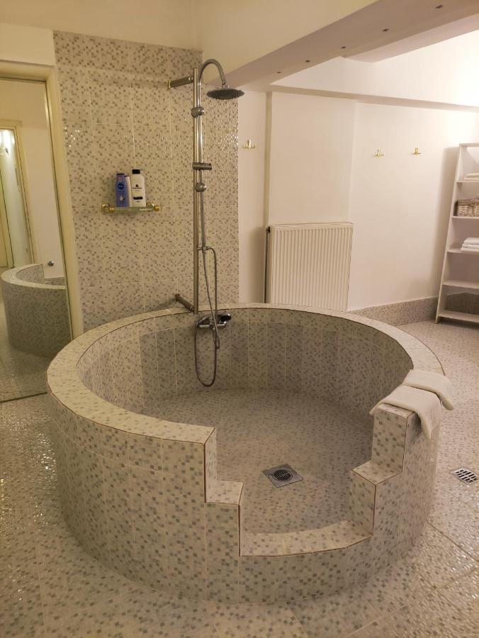 Superior Chic Family Apartment Kalampáka Dış mekan fotoğraf